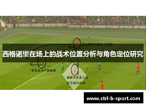 西格诺里在场上的战术位置分析与角色定位研究