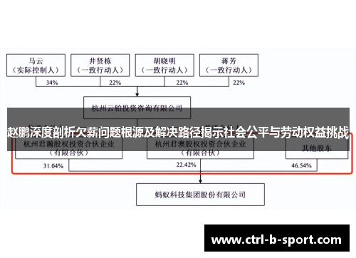 赵鹏深度剖析欠薪问题根源及解决路径揭示社会公平与劳动权益挑战