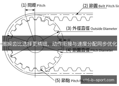 圈操齿比选择更精细，动作衔接与速度分配同步优化